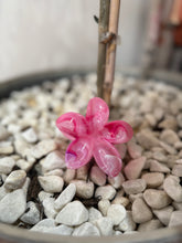 Load image into Gallery viewer, Flower - Claw Clips
