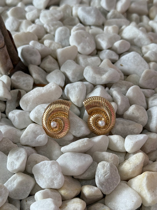 Seashell - Earrings
